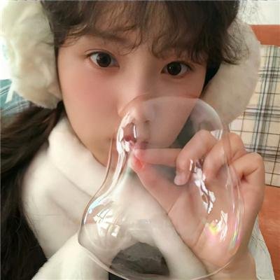 雨中的树
