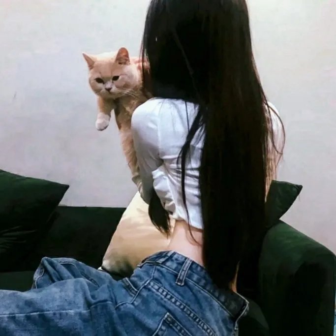 莫奇的故事